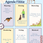 Ook honden hebben het vaak te druk….